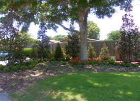 Landscaping Lakeland FL